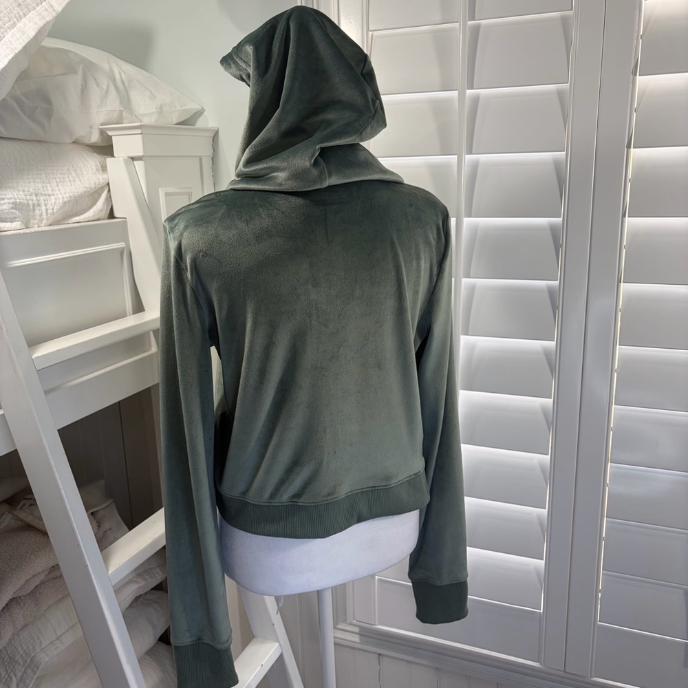 Aerie Dreamy Velour Cropped Hoodie in Royal Palm - Picture 7 of 16